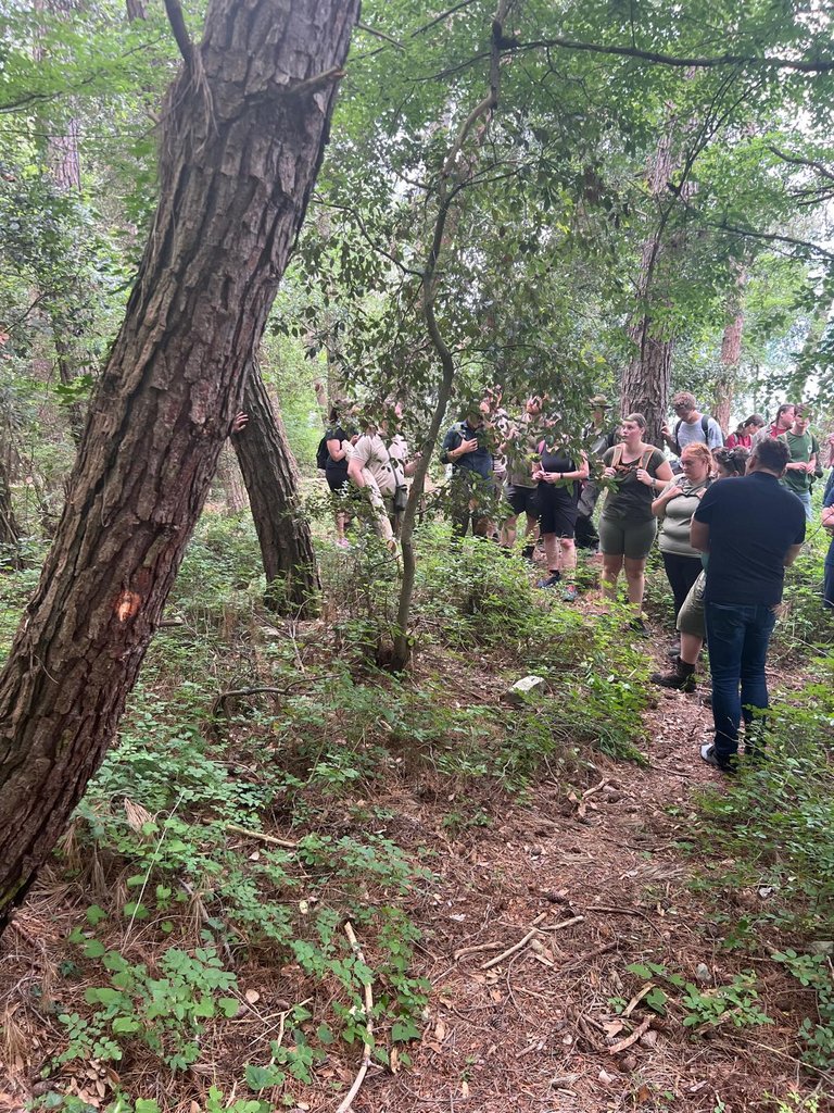 studenti sveučilišta u Brnu u Dubašnici (1)