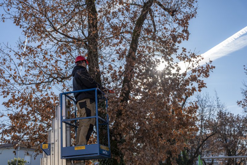 ForesistDubašljanskiDrmun_HrvojeKosir_2026-12