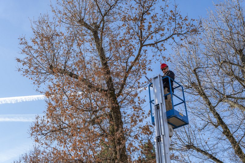 ForesistDubašljanskiDrmun_HrvojeKosir_2026-14