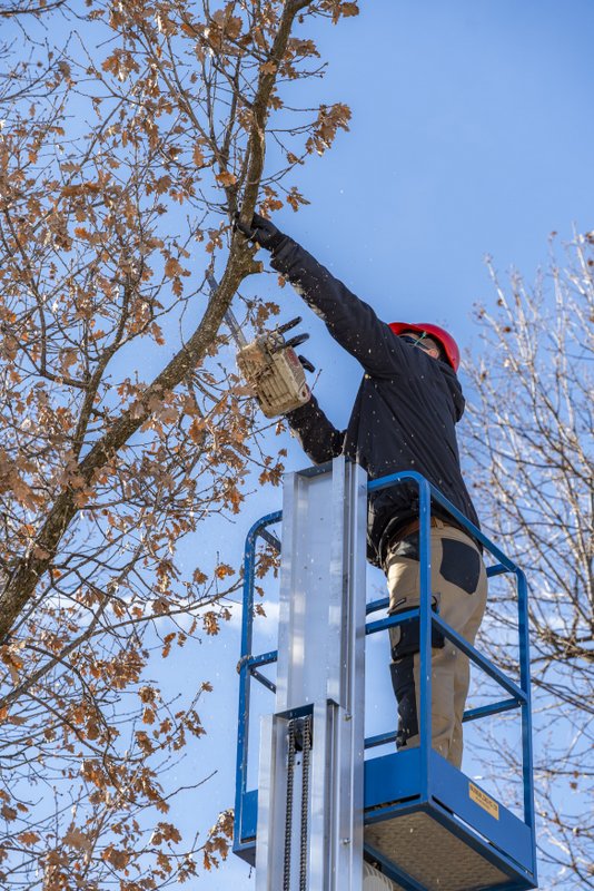 ForesistDubašljanskiDrmun_HrvojeKosir_2026-16