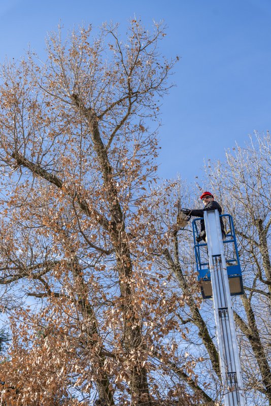 ForesistDubašljanskiDrmun_HrvojeKosir_2026-19