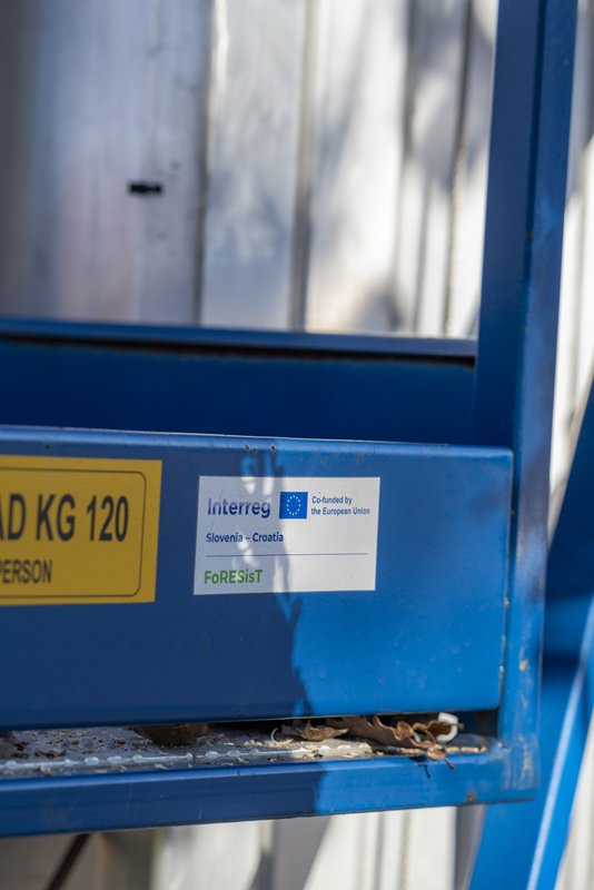 ForesistDubašljanskiDrmun_HrvojeKosir_2026-22