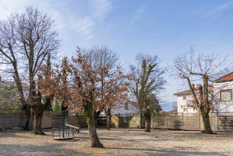 ForesistDubašljanskiDrmun_HrvojeKosir_2026-31