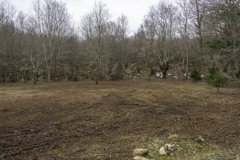 Travnjak na Jasenovcu, saniran u sklopu projekta Foresist. Foto H